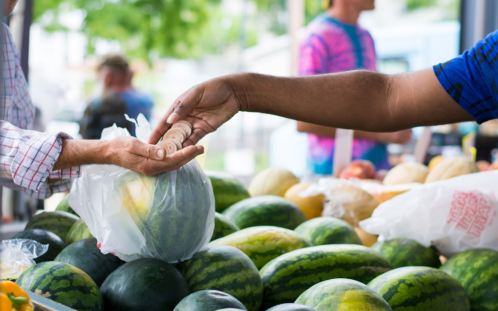 Two hands exchanging farmers market tokens over some watermelons